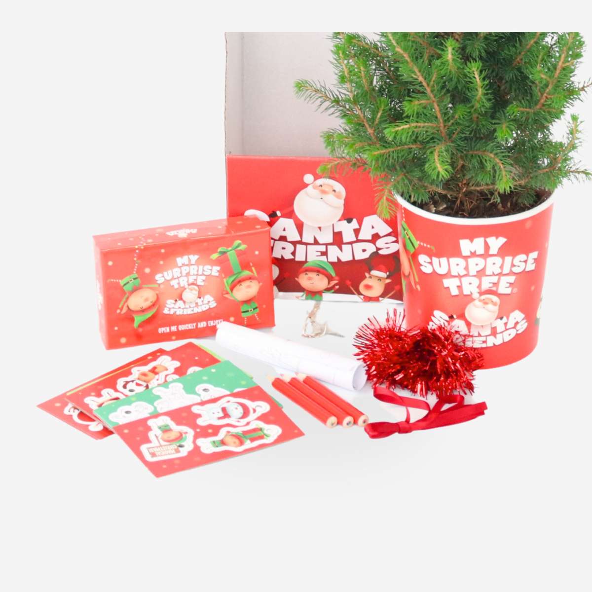 Picea Zuckerhutfichte - Picea Conica - Mini-Weihnachtsbaum Und Deko